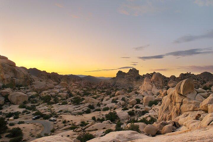 Journey into Joshua Tree Self-Guided Audio Driving Tour