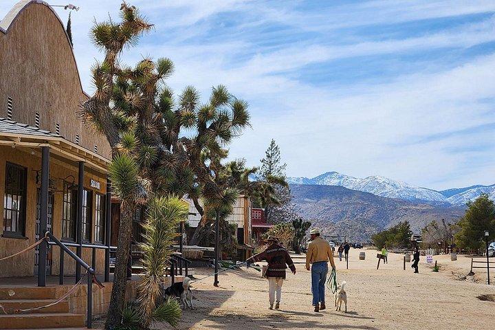 Journey into Joshua Tree Self-Guided Audio Driving Tour