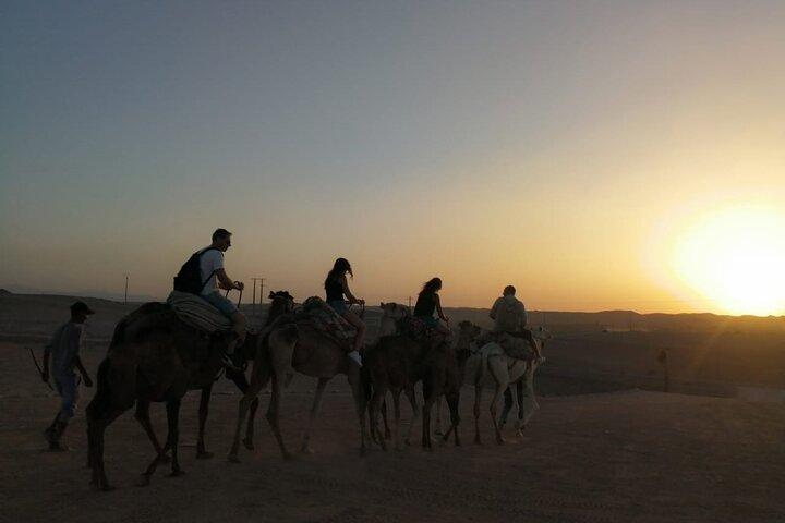 Agafay dinner show camel ride