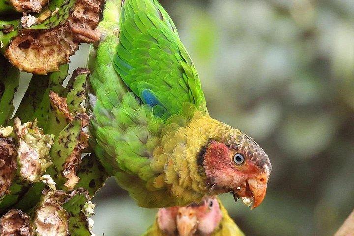プライベートMindoクラウドフォレスト体験