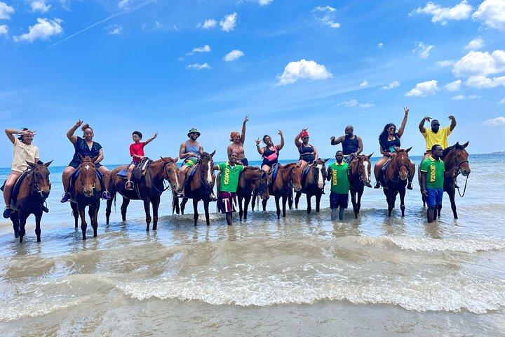 Visite guidée d'équitation et de natation à Ocho Rios