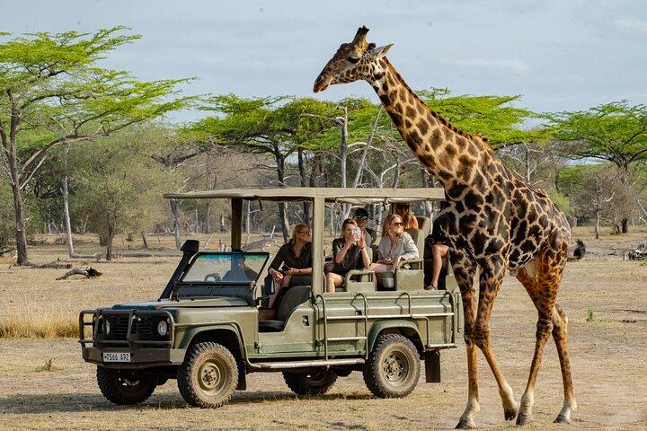 2-dages Selous (Nyerere NP) Night Game Drive Safari fra Zanzibar