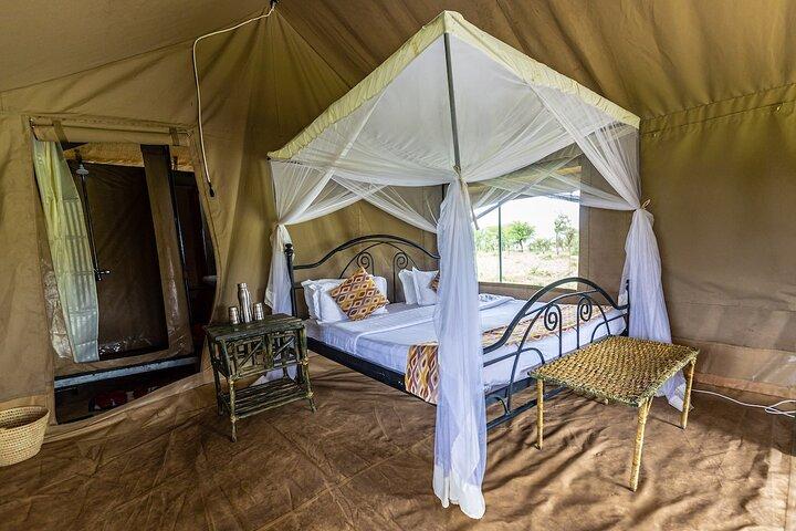 Safari en grupo por el norte de Tanzania (sale todos los viernes)