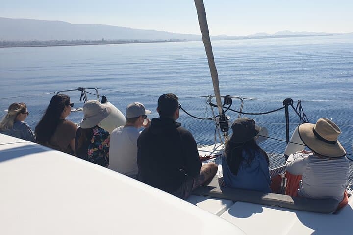 Athens Riviera Catamaran tour with fresh Meal Drinks and Swimming