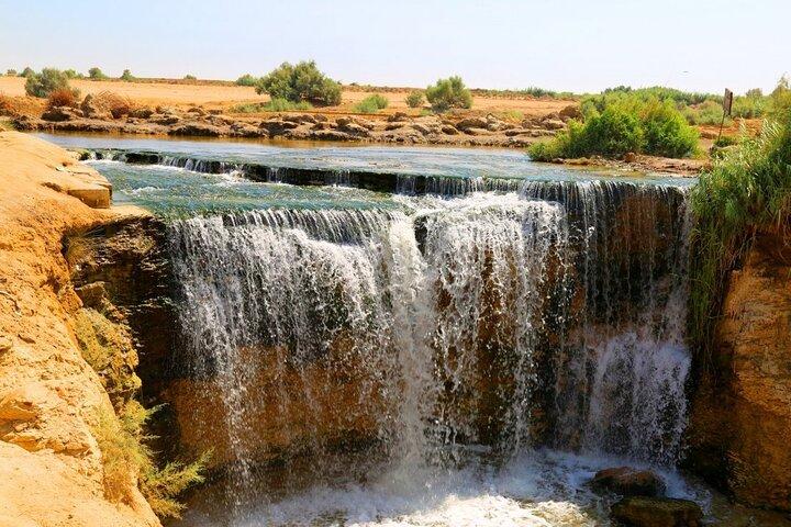 Privat tur til Fayoum Whales Valley & Wadi El Rayan fra Kairo