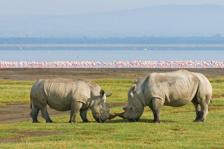 4 days Lake Nakuru and Masai Mara
