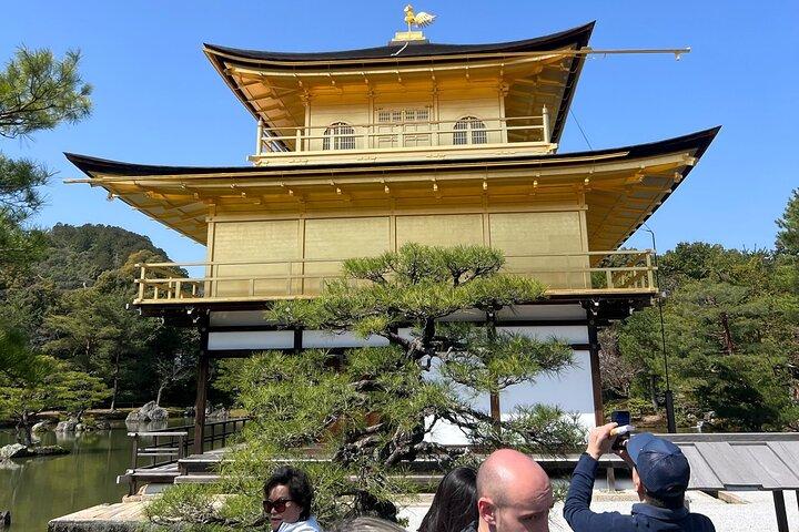 Le meilleur de Kyoto en une journée. visite privée