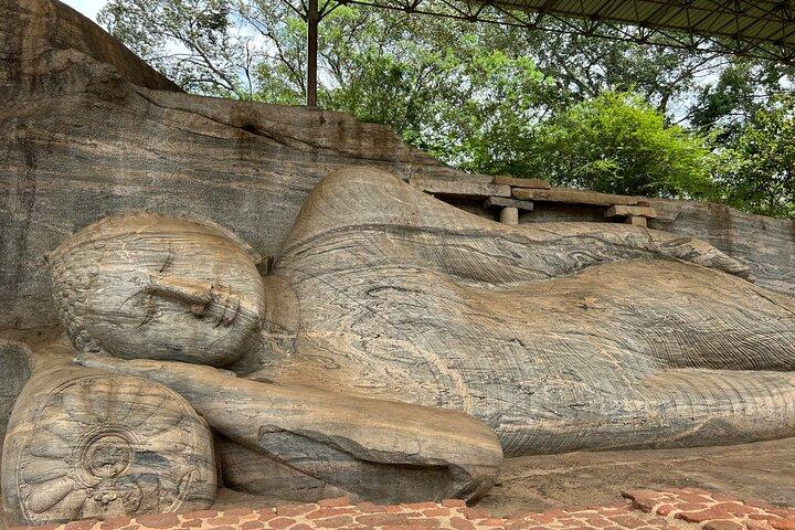 Excursion privée de 9 jours au Sri Lanka pour les premiers temps