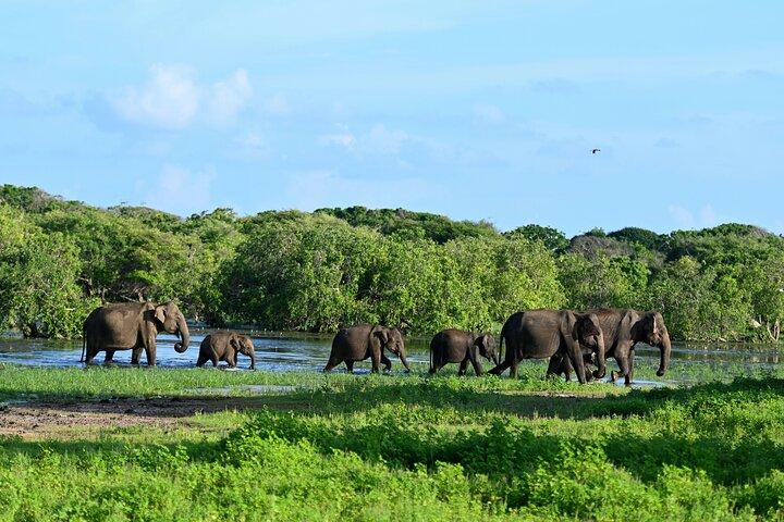 All Inclusive 9-dages Sri Lanka privat tur for de første timere
