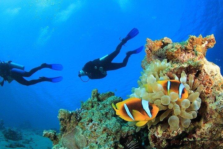 Antalya / Kemer : Duiken voor beginners met lunch & transfer