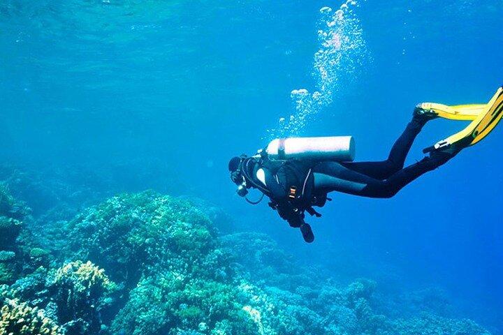 Antalya / Kemer : Duiken voor beginners met lunch & transfer