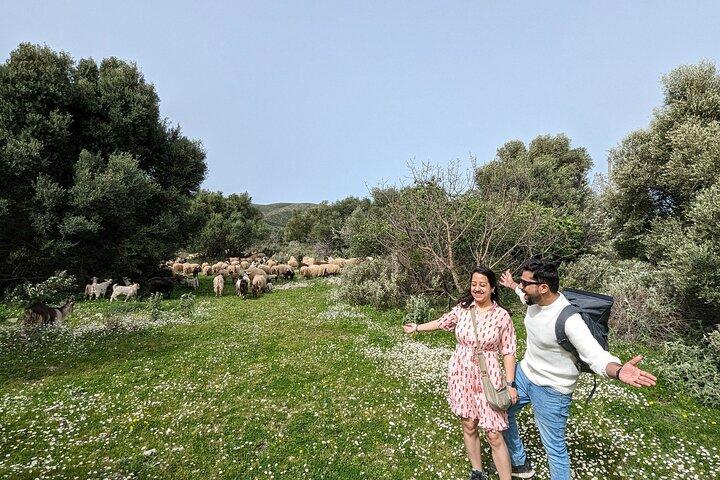 Llogara Caesar's Path, Orikum Park & Igreja de Marmiroi