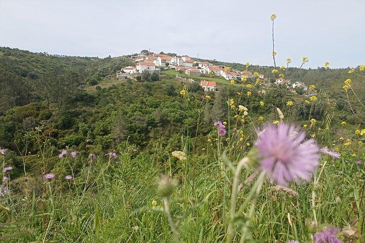 Hike & Wine Ericeira