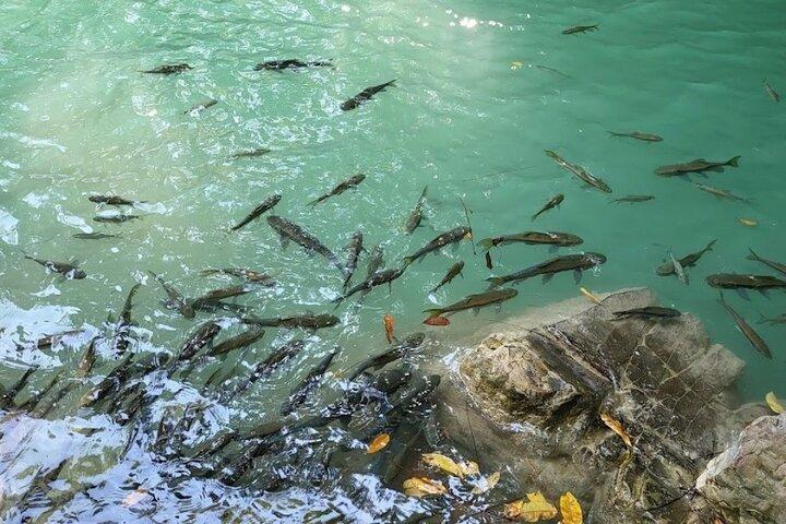 Cascade d'Erawan et soins aux éléphants de Bangkok - Visite privée