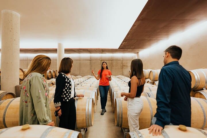 From Milan: Lake Iseo, Bergamo & Franciacorta Wine Tour