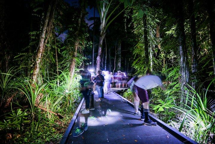ケアンズ：夜の野生動物散歩
