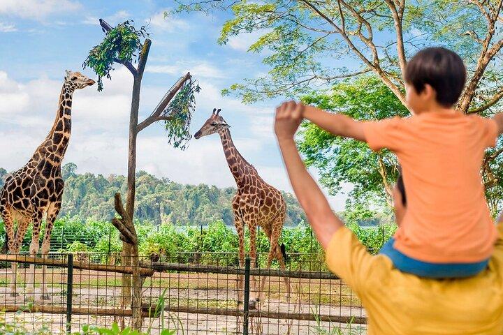 Singapore Zoo