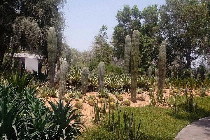 Dubai: Isola di Al Noor