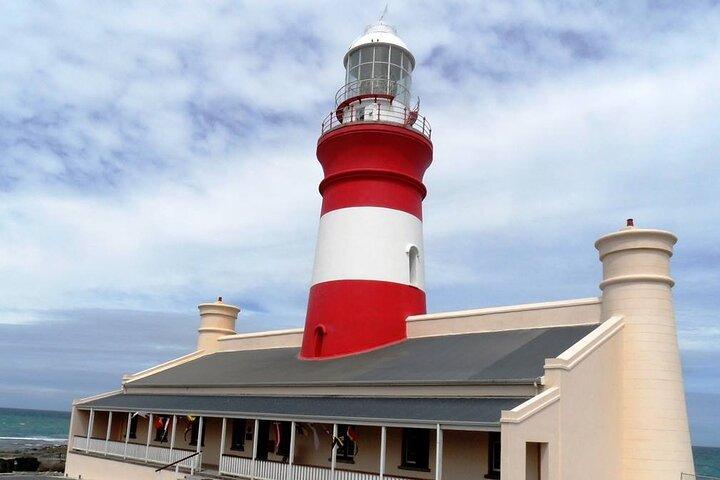 Tour privato a Cape Agulhas Giornata intera da Città del Capo
