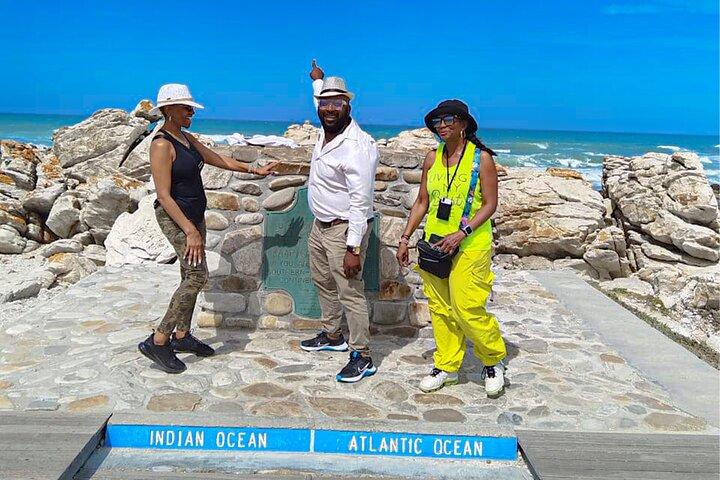Tour privato a Cape Agulhas Giornata intera da Città del Capo