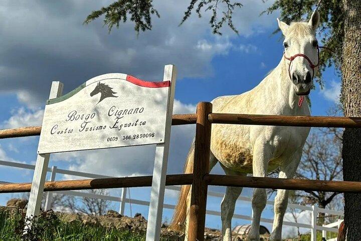 Vinho e cavalos