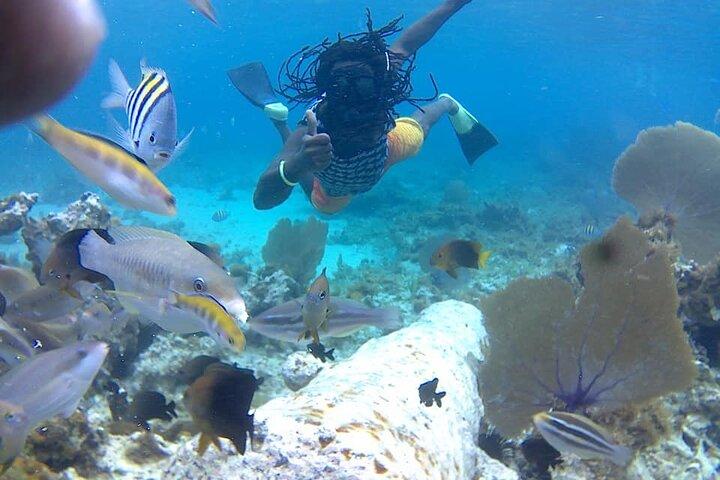 Increíble buceo guiado Negril a arrecife, ancla y cañón