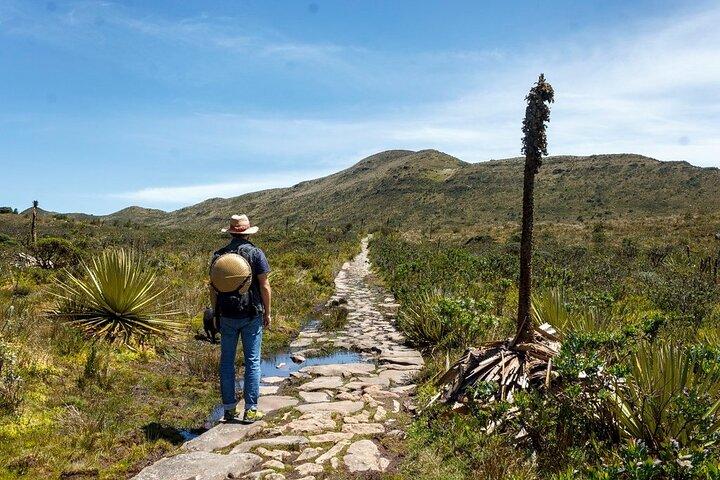 Paramo Hike to Laguna de Teusacá