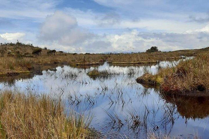 Paramo Hike to Laguna de Teusacá