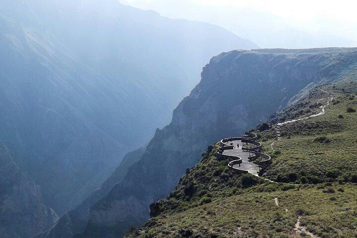 Excursion d'une journée complète au canyon de Colca au départ d'Arequipa