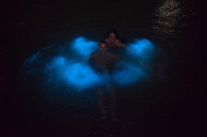 Luminous Lagoon Night Tour