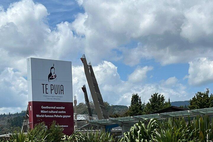 Te Puia Geothermal Wonderland Visite privée au départ d'Auckland