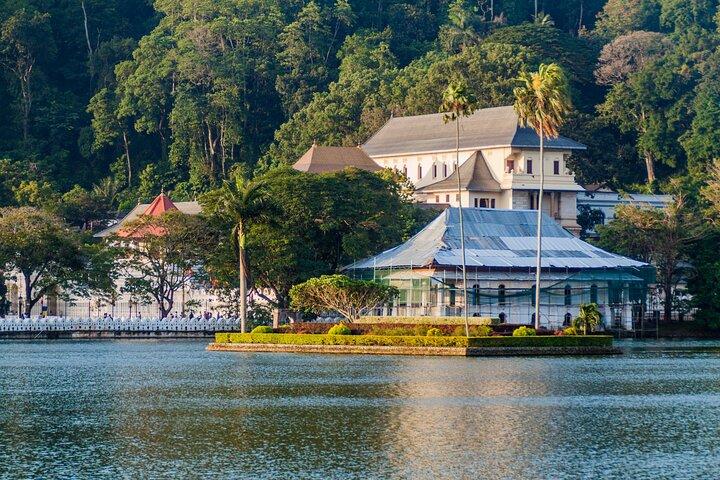 Kandy Day Tour med tefabriksbesök från Negombo