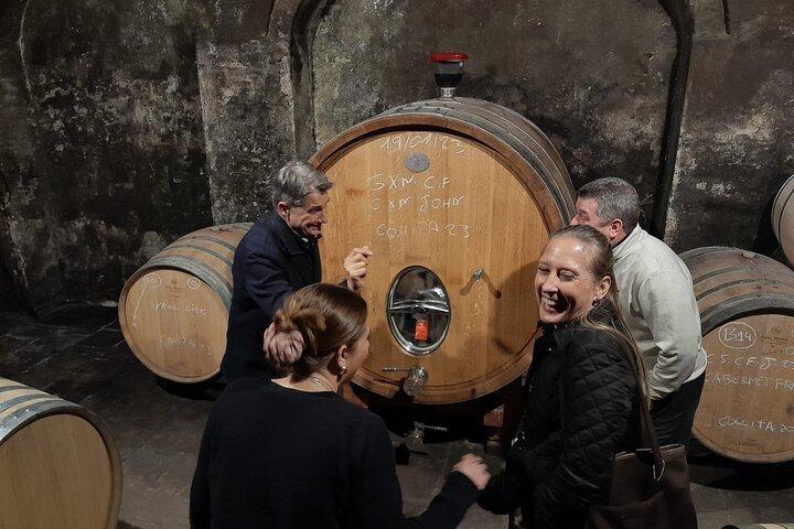Tour Priorat a 3 piccole cantine e pick-up in hotel