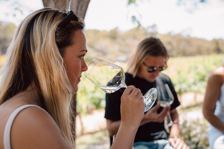 Hoteller i nærheden af Margaret River Boutique Wine Tour Blind smagning + italiensk frokost