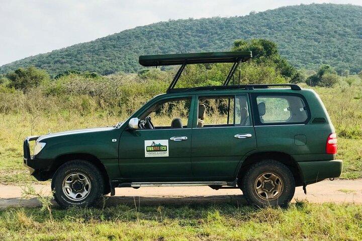 1 dag Akagera Game Drive Safari