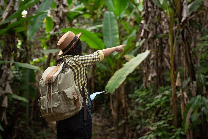 1 Full Day of Rustic Adventure in the Heart of Portland Jamaica