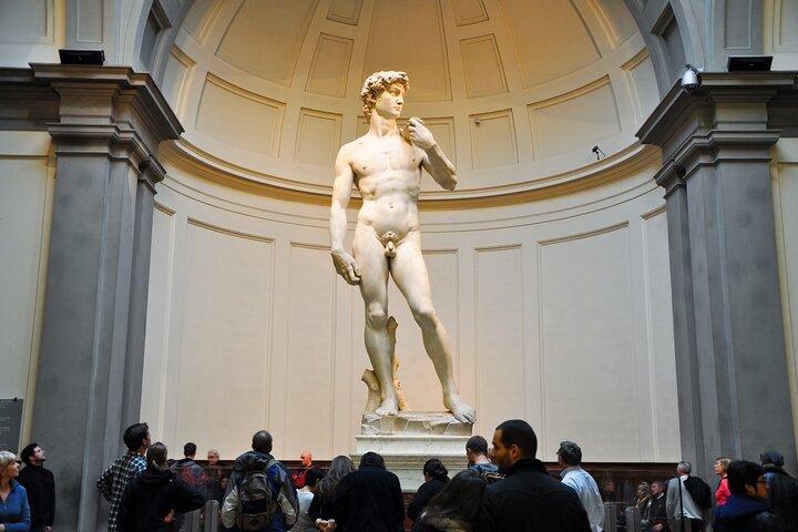 Visita guiada David & Accademia con entrada programada