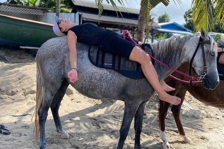 2 Stunden Beach Ride Horseback Experience mit Dore's Riding Stable