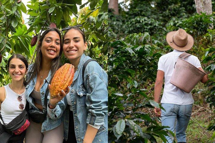 Tour del cacao (cioccolato) e del caffè da Pereira o dall'Armenia