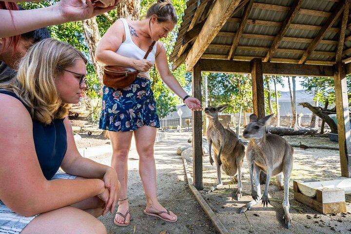 ケアンズ発デインツリー、モスマン渓谷、野生動物ツアー