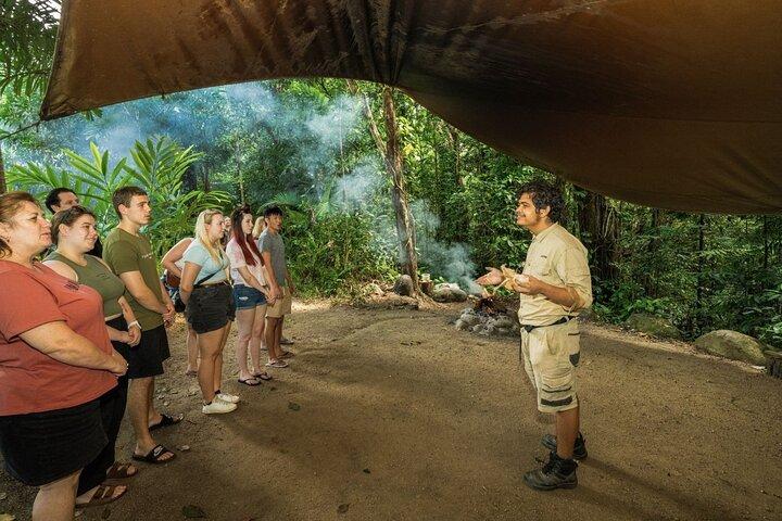 ケアンズ発デインツリー、モスマン渓谷、野生動物ツアー