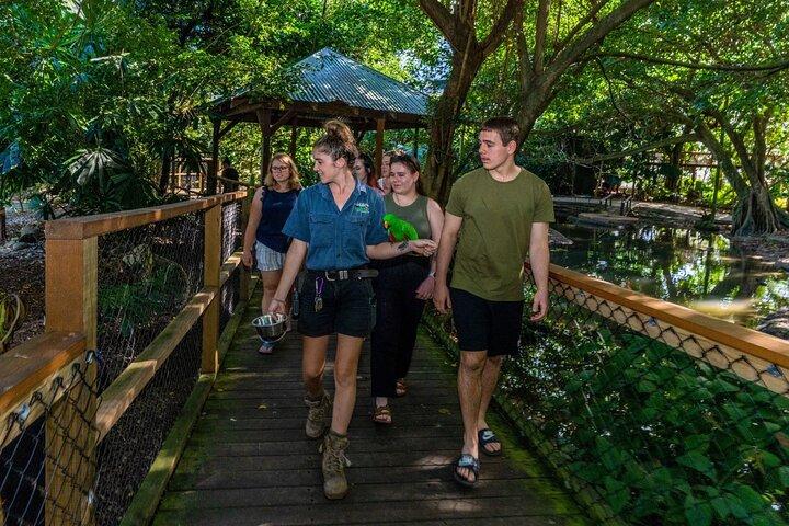 ケアンズ発デインツリー、モスマン渓谷、野生動物ツアー