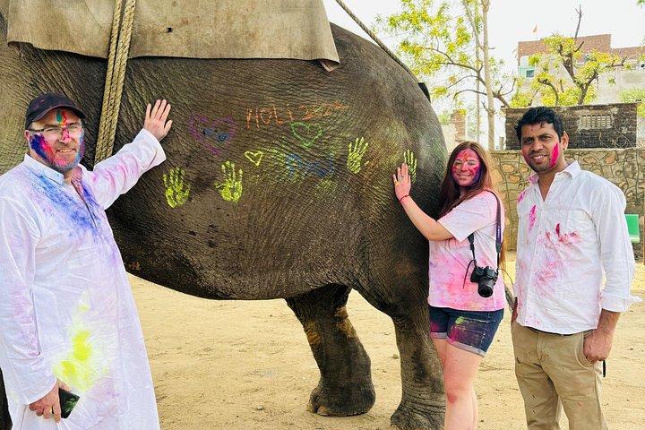 ゴールデン・トライアングル14日間野生動物サファリ＆ヘリテージ・ラージャスターン