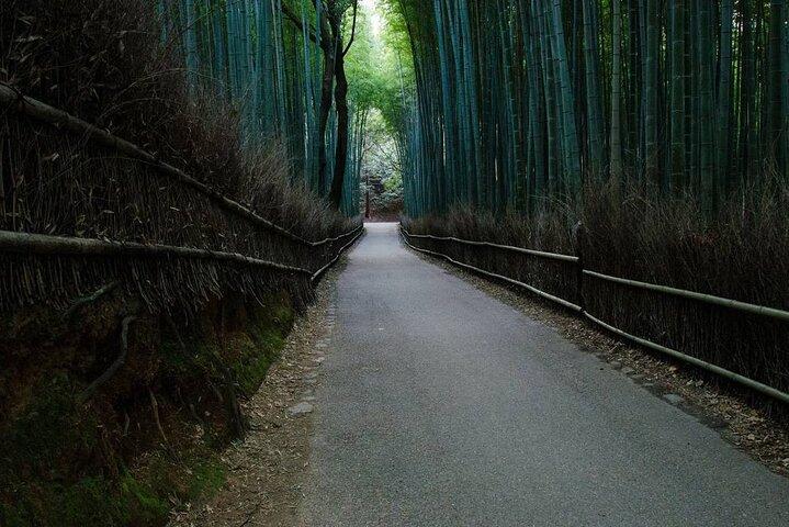 京都竹林＆ゴールデンパビリオンe-bikeツアー