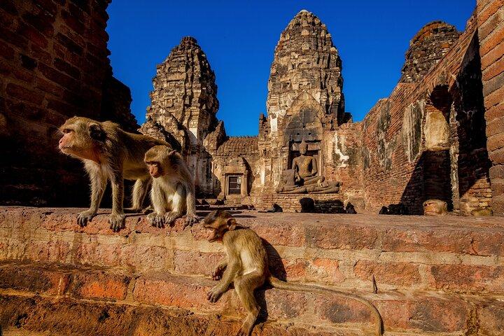 De Bangkok al templo de los monos de Ayutthaya Lopburi, el tour de Buda más grande