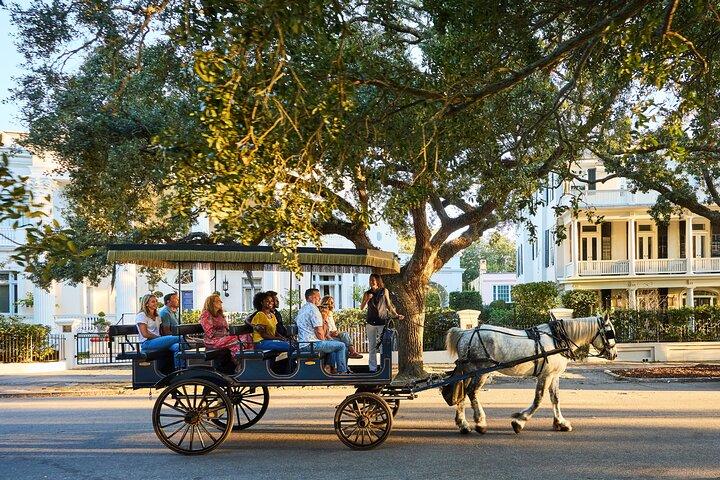 Charleston hestevognstur: Udforsk historiske Charleston