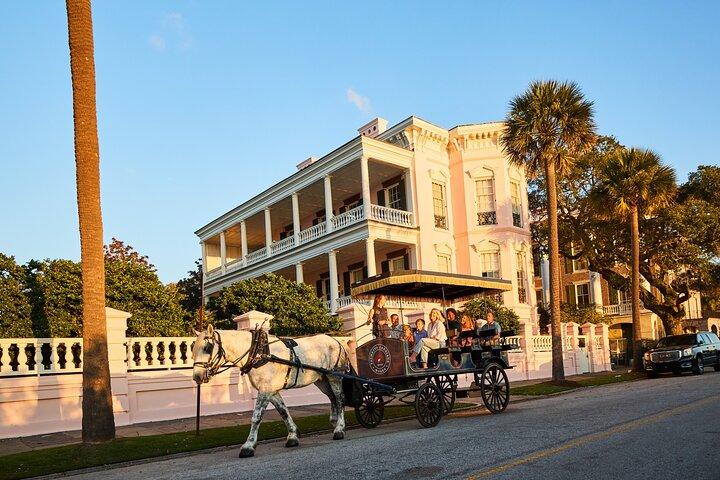 Charleston Horse-Drawn Carriage Tour: Esplora la storica Charleston