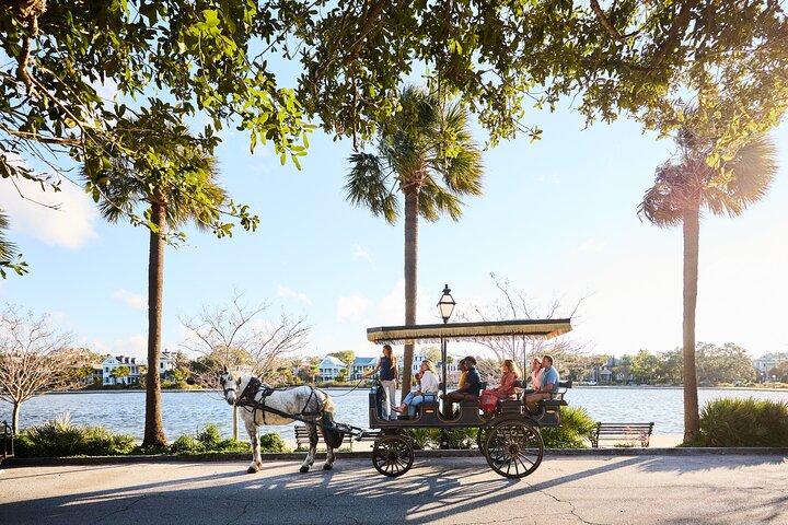 Charleston hestevognstur: Udforsk historiske Charleston