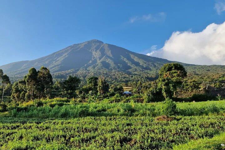 Kisoro un'esperienza notevole nella gemma dell'Uganda