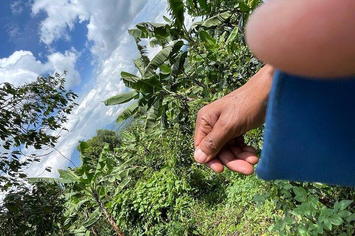 Kisoro un'esperienza notevole nella gemma dell'Uganda